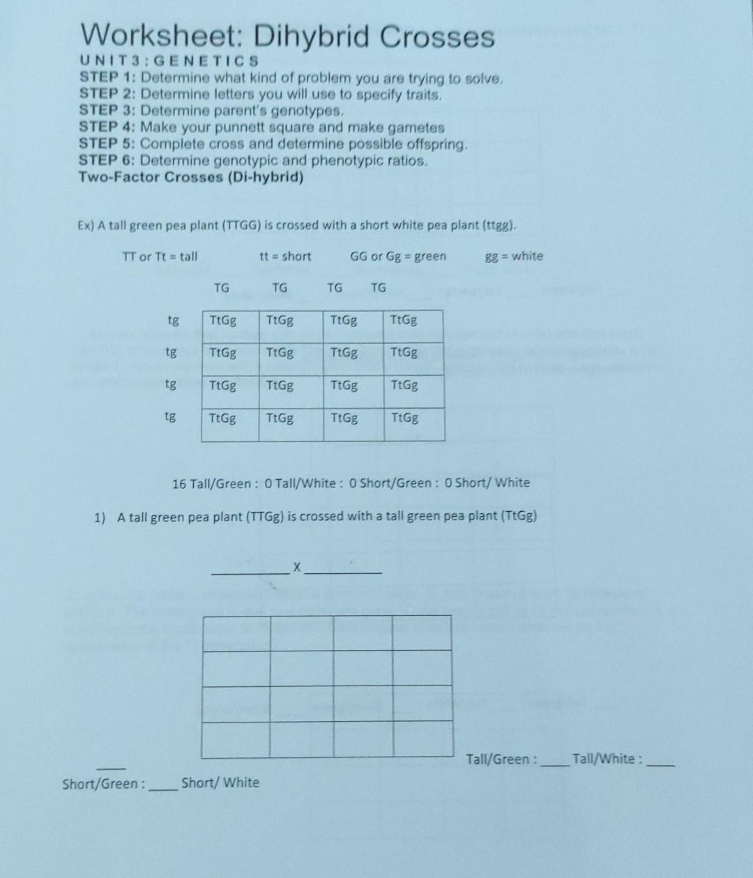 Solved Worksheet Dihybrid Crosses UNIT 3 GENETIC S STEP 1 Chegg