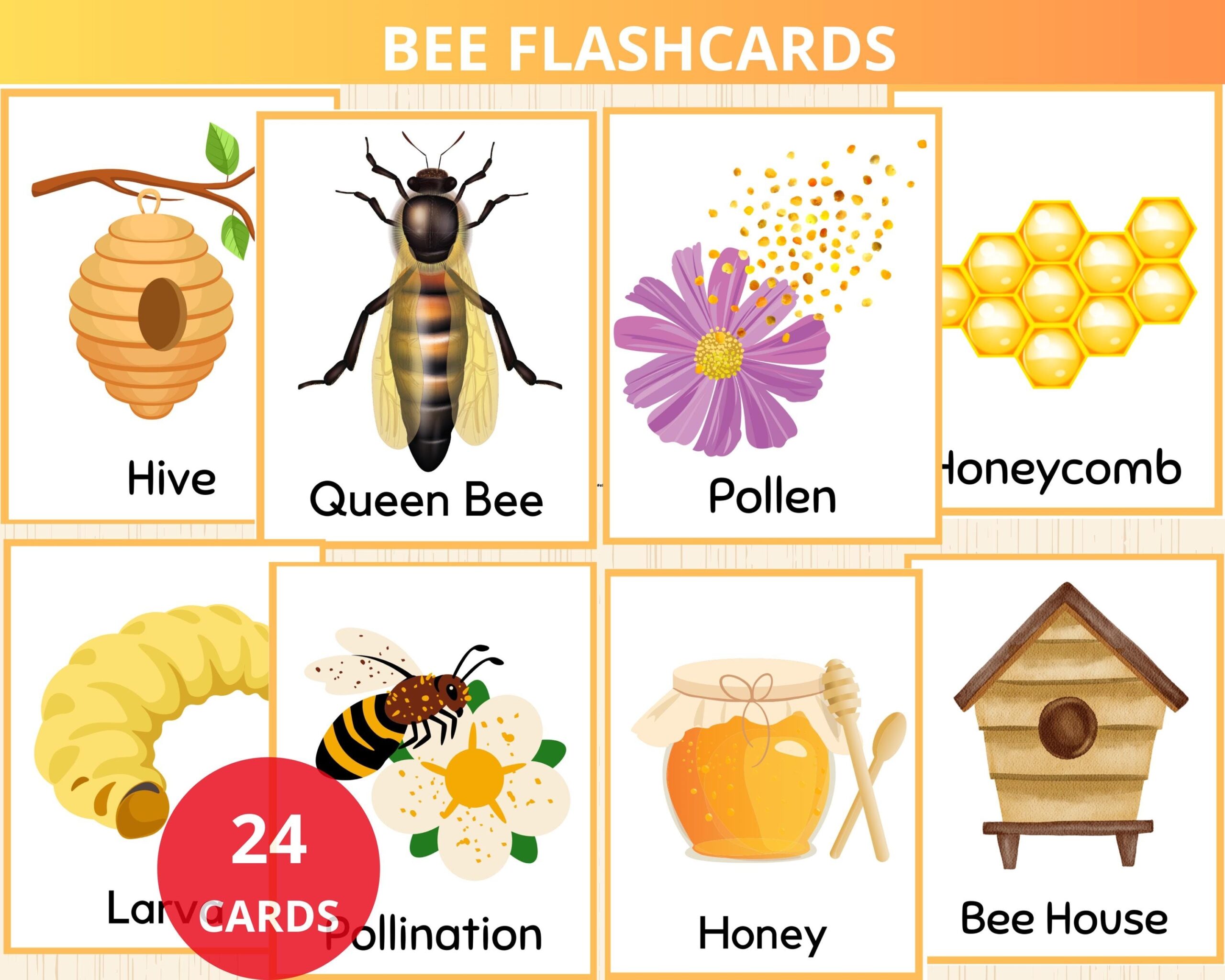 Spelling Bee Cards Etsy Ireland