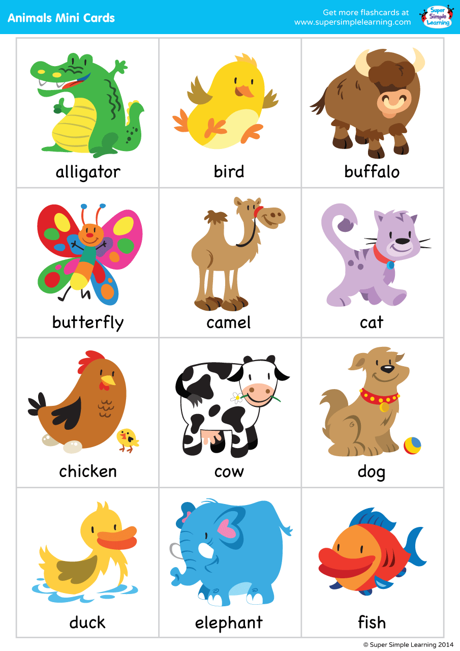 Super Simple Songs Animals Mini Cards Super Simple