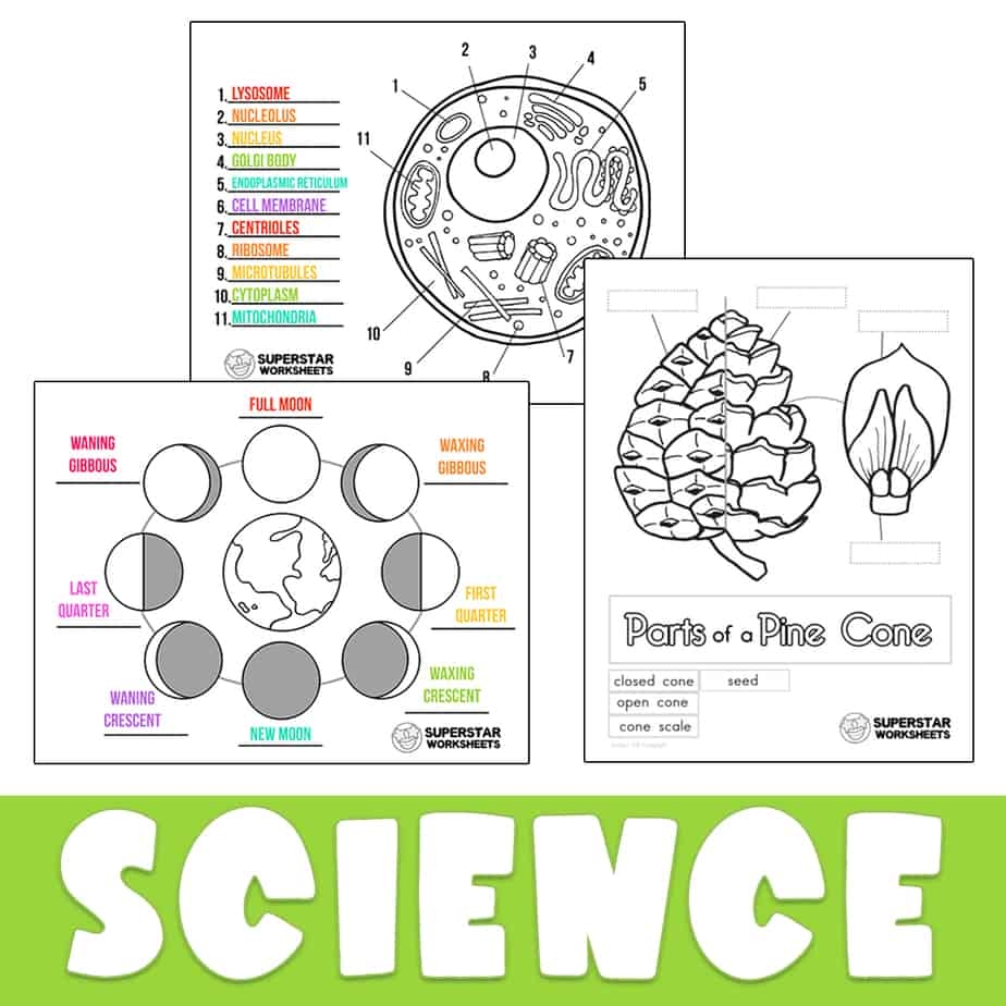 Superstar Worksheets Superstar Worksheets Worksheets Library