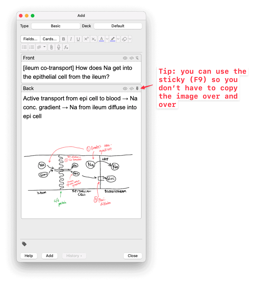 The Best Way To Make Anki Cards For Processes w Examples 