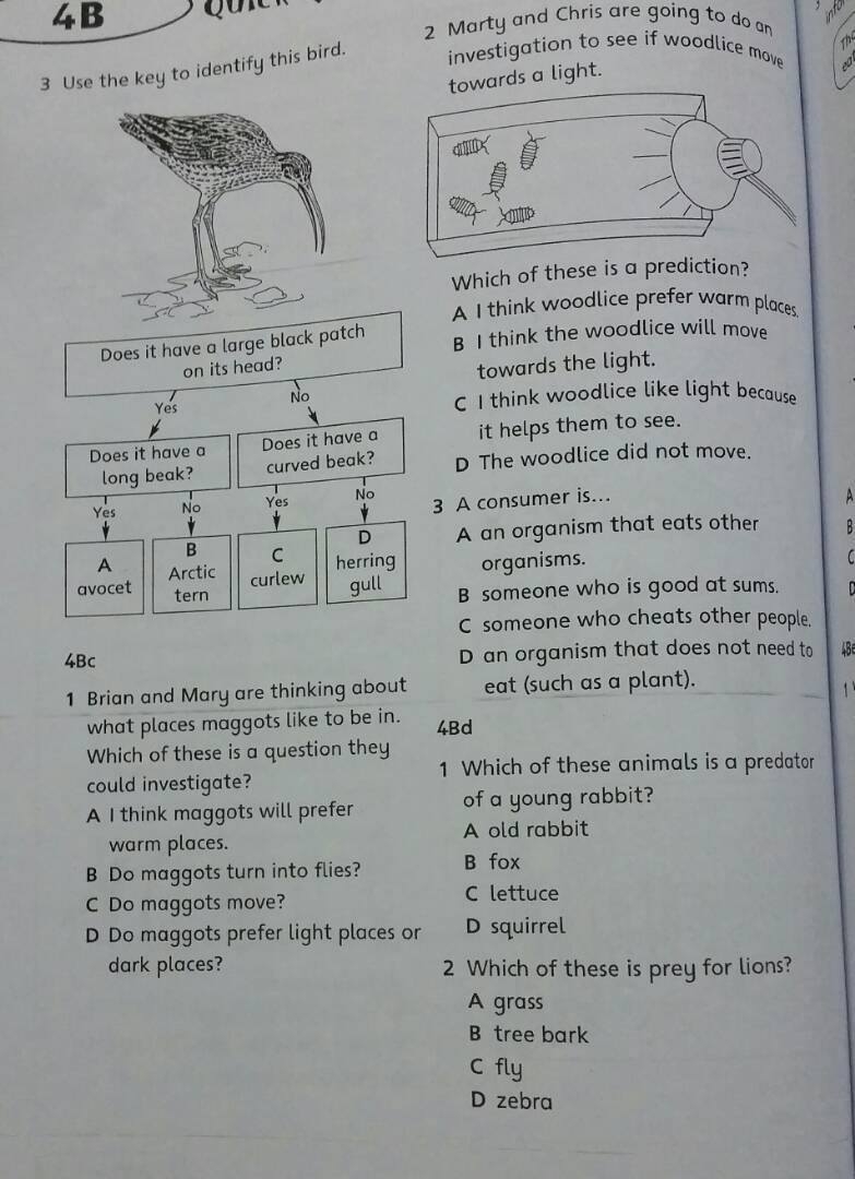 4th grade science worksheets