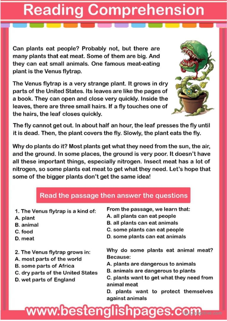 The Flytrap Reading Comprehension English ESL Worksheets Pdf Doc