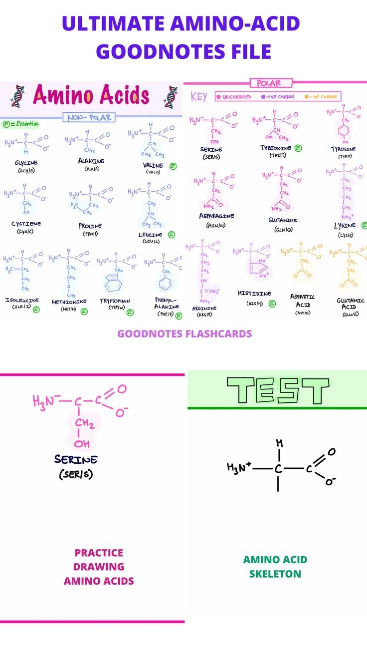 This Is The Ultimate Amino acid File For Your IPad Biochemistry Notes 