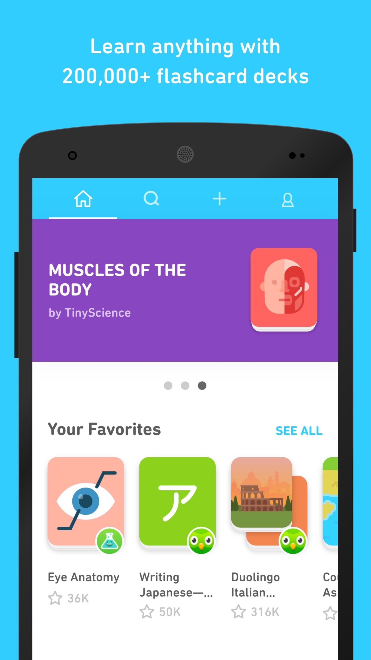 flashcards by duolingo