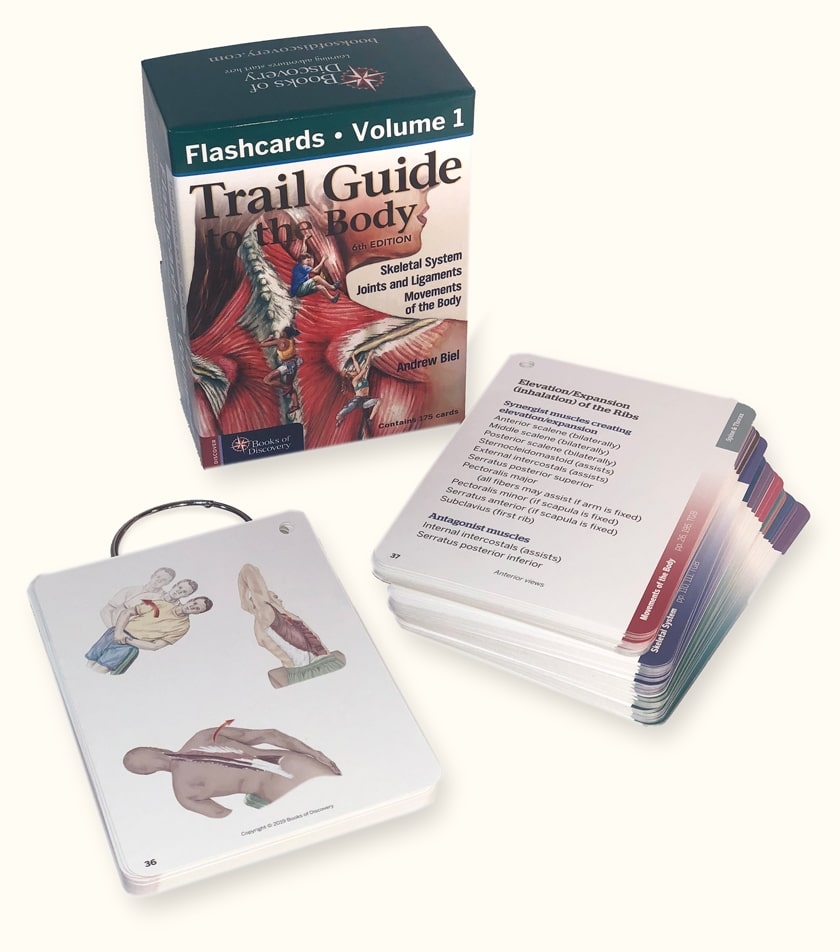 Trail Guide To The Body Flashcards 6th Edition Volume 1