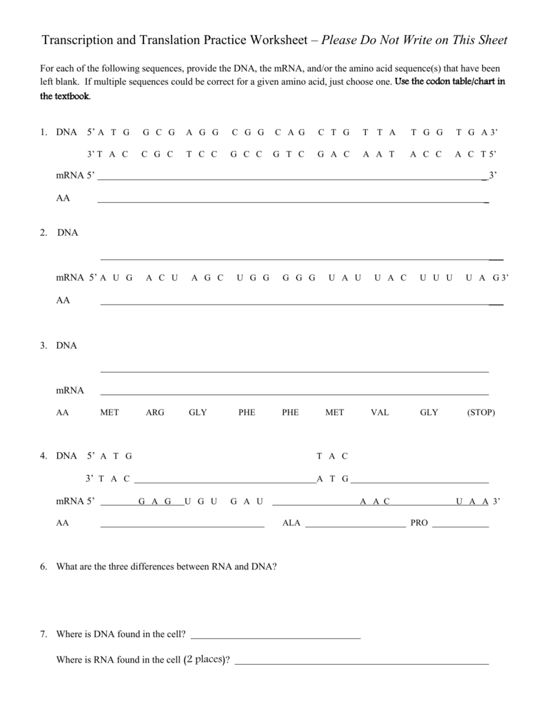 Transcription And Translation Practice Worksheet