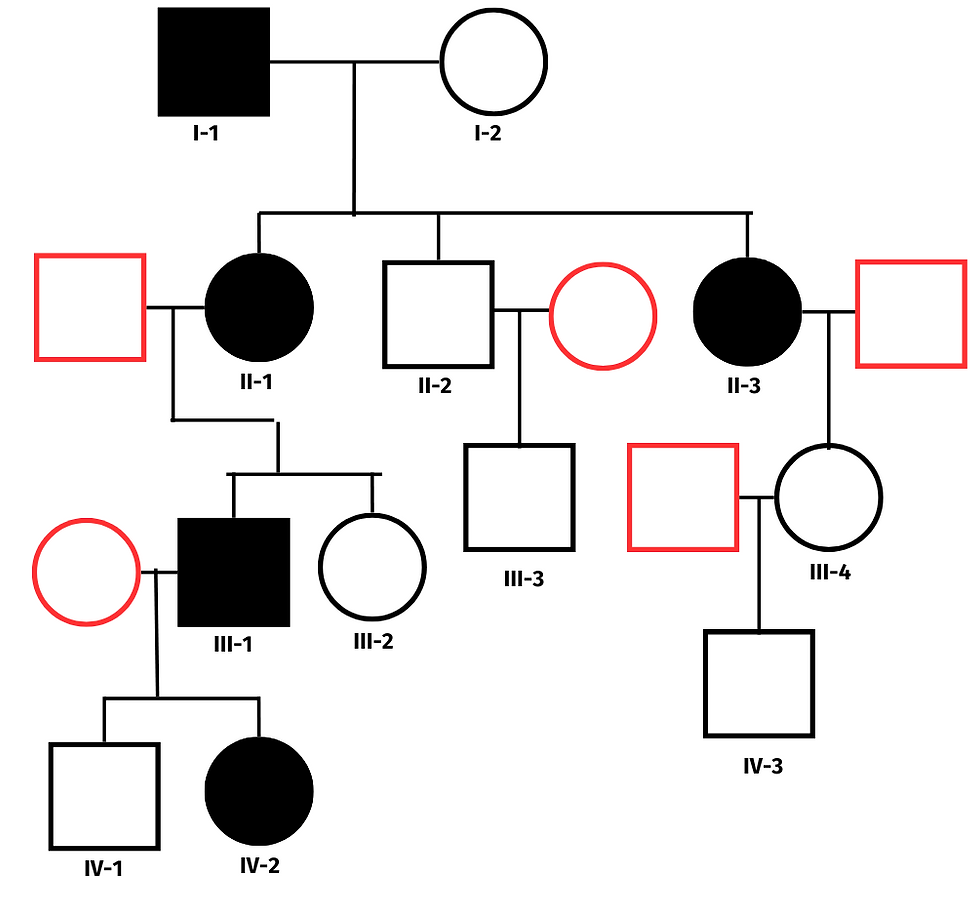 pedigree worksheet answers