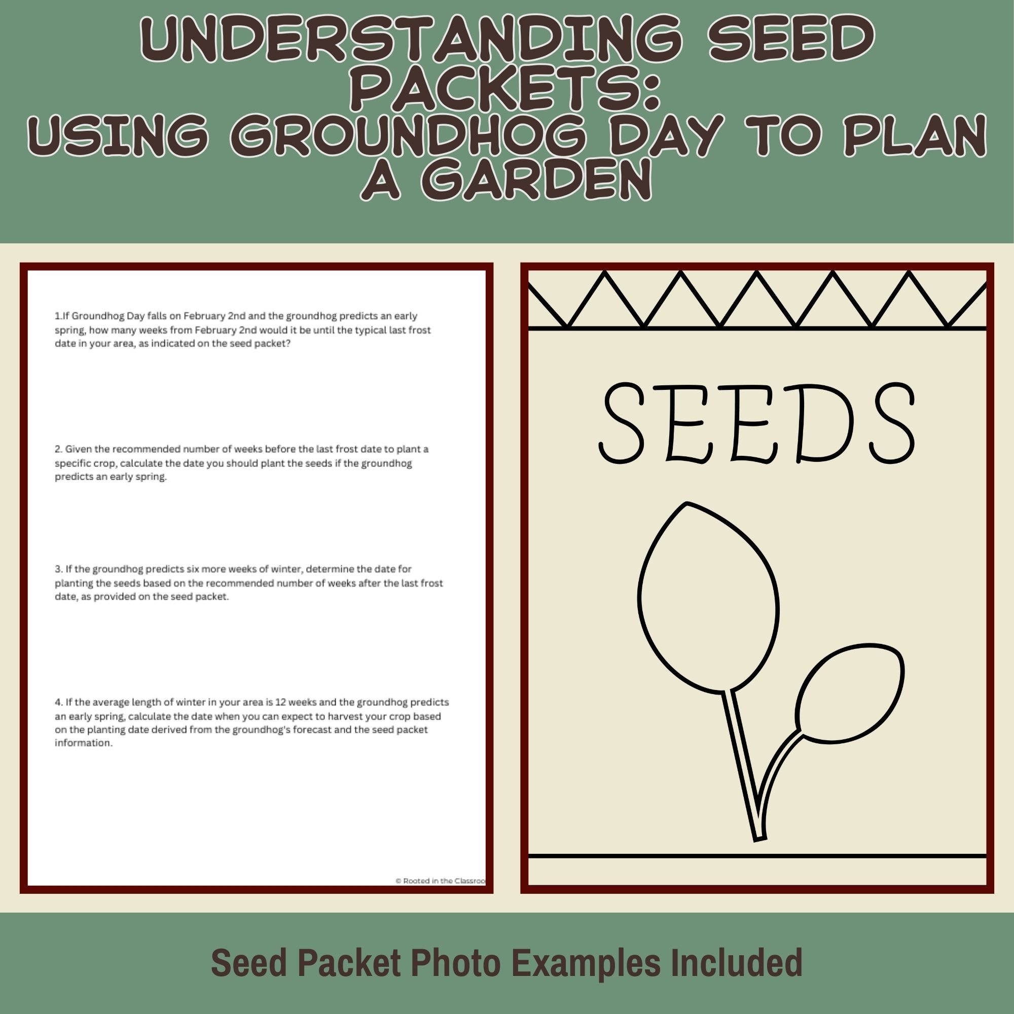 Understanding Seed Packets Reinforcement Activity Groundhog Day Classful