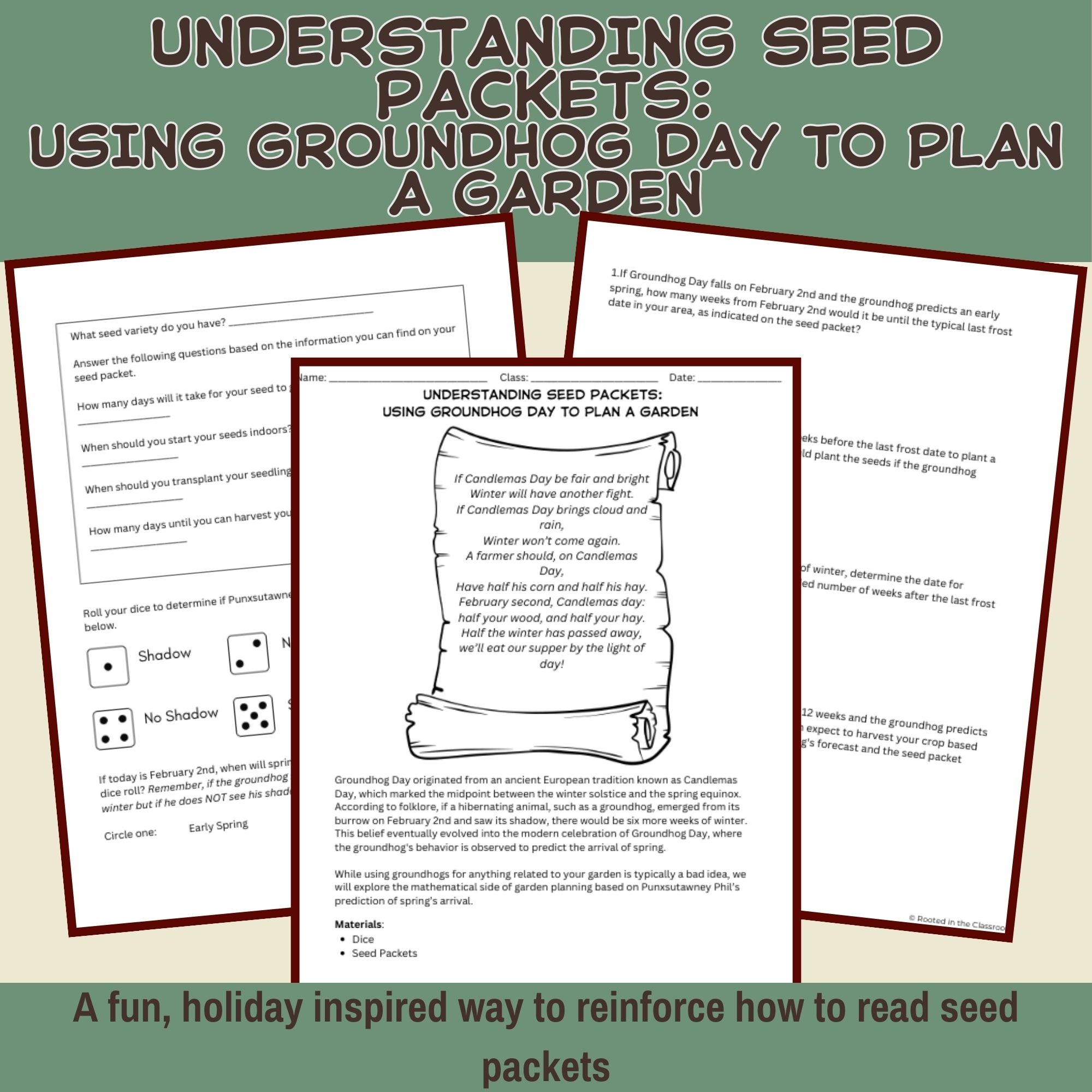 Understanding Seed Packets Reinforcement Activity Groundhog Day Classful