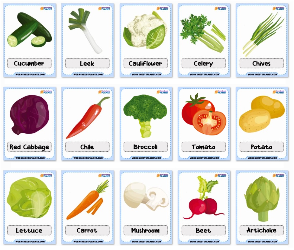 Vegetables Vocabulary Flashcards Worksheets Planet
