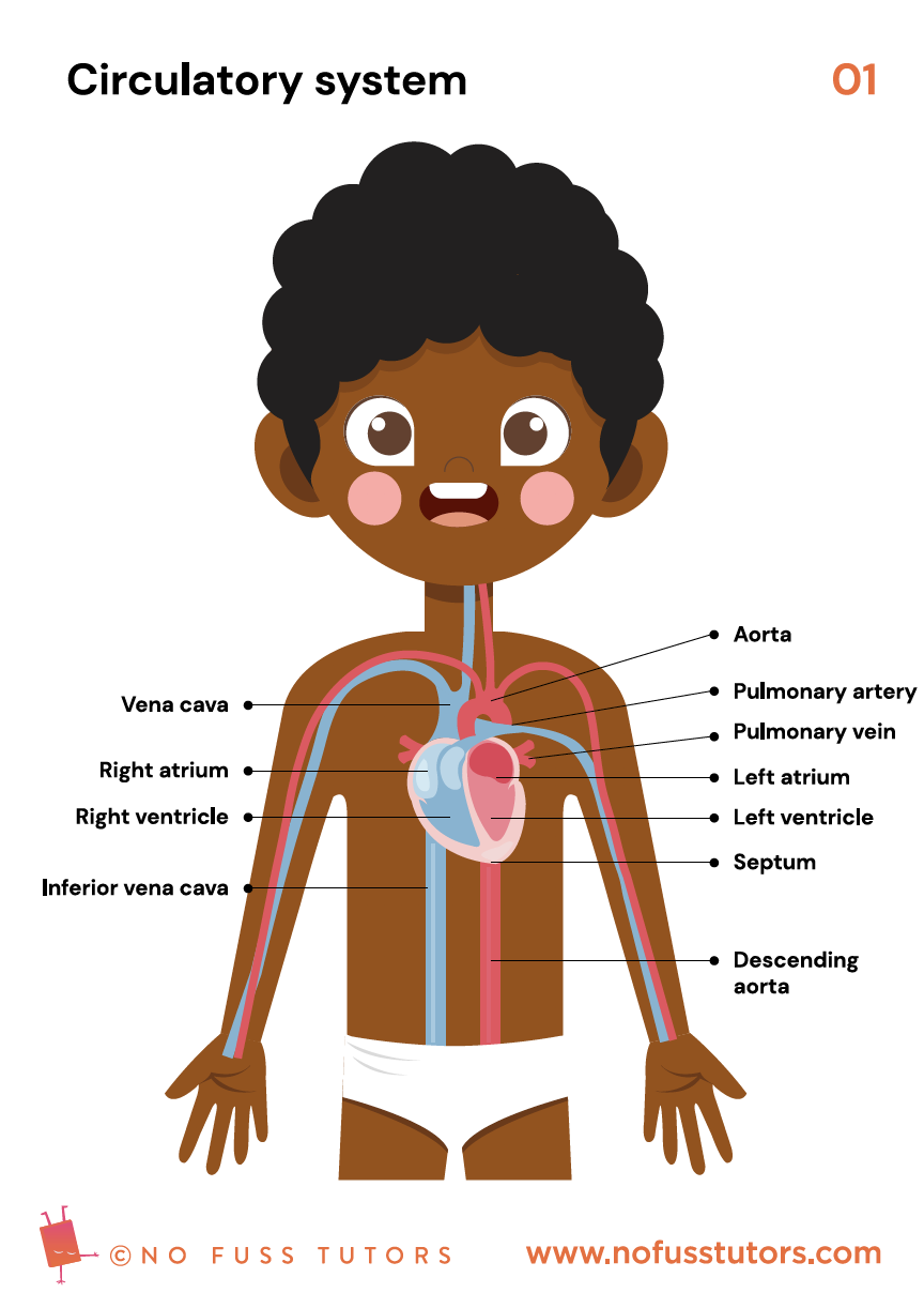 science for 6th graders worksheets