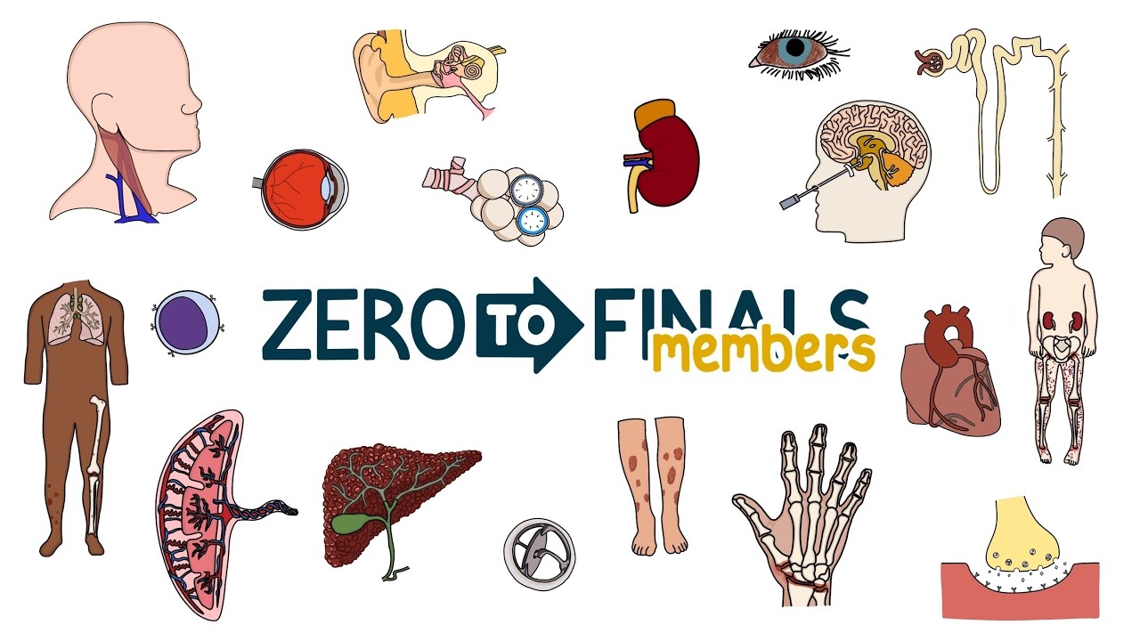 Zero To Finals Members Site Tour YouTube