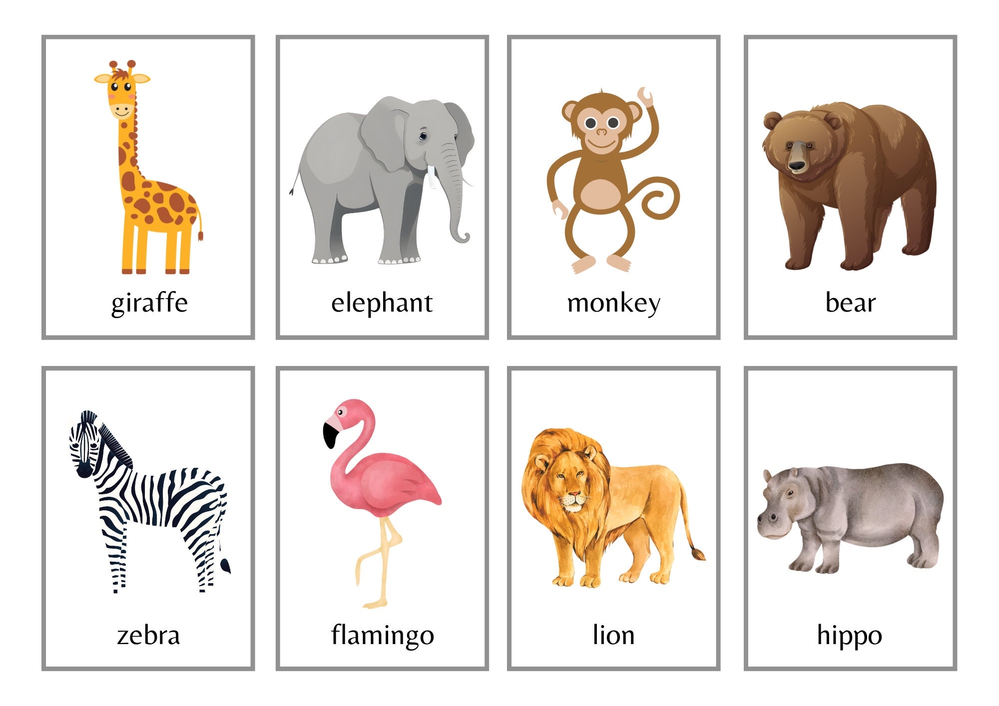 Zoo Animal Flashcards 24 Animal Flashcards Zoo Flashcards Animal Cards Zoo Cards School Flashcards Etsy