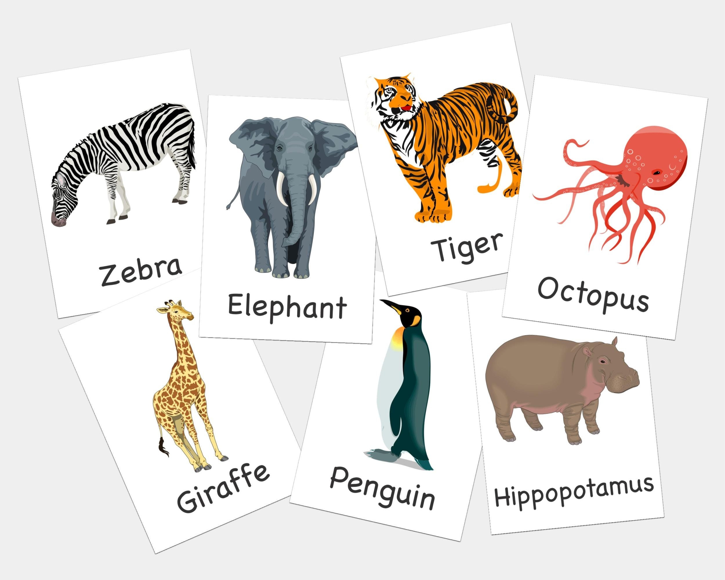 Zoo Animal Flashcards Printable Flashcards Learning For Babies And Kids Set Of 46 Etsy